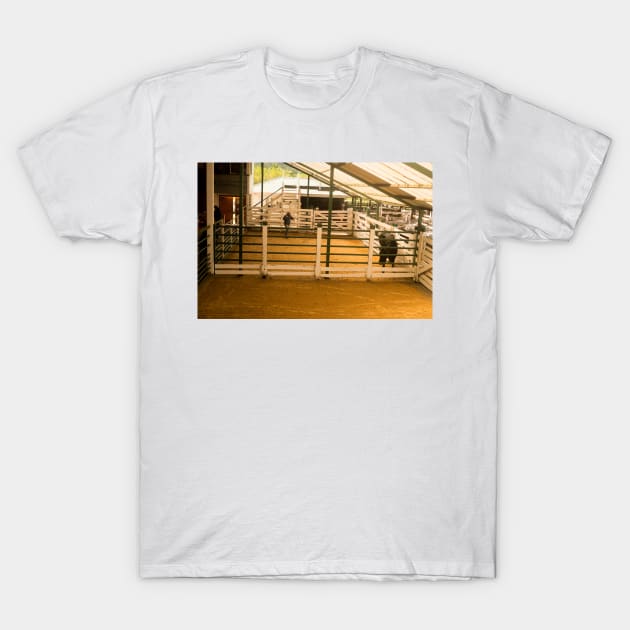 ebs single cow at auction T-Shirt by pcfyi